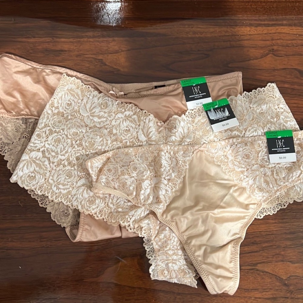 3 pairs Large INC Panties NWT